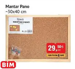 STUDİ MANTAR PANO ~30X40 CM